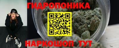 стаф Пенза