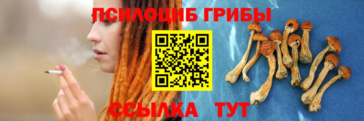 Соль-Илецк  Галлюциногенные грибы Cubensis  дарнет шоп  Вход с VPN 