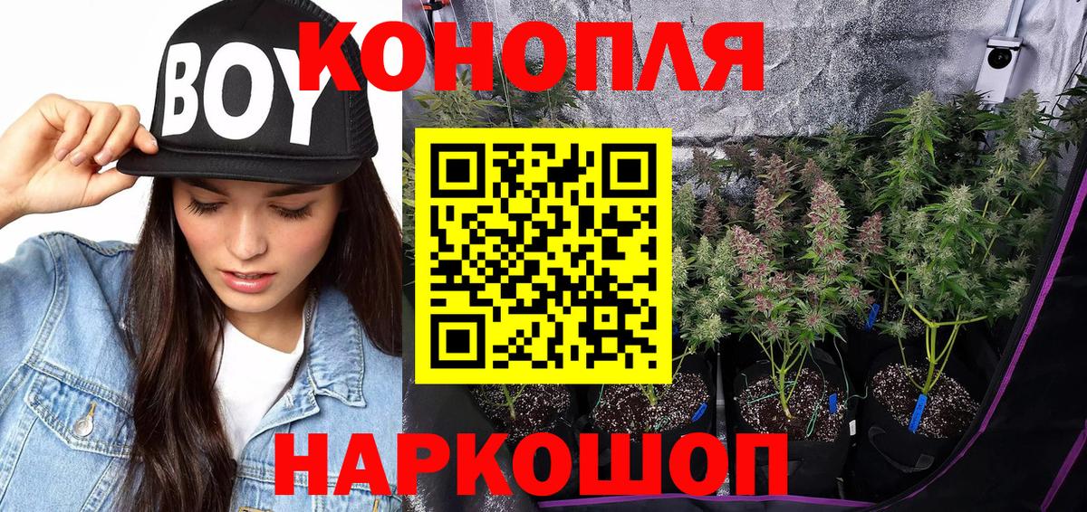 Бошки марихуана планчик  Канабис гибрид  Соль-Илецк  Вход с VPN  МАРИХУАНА MAZAR 